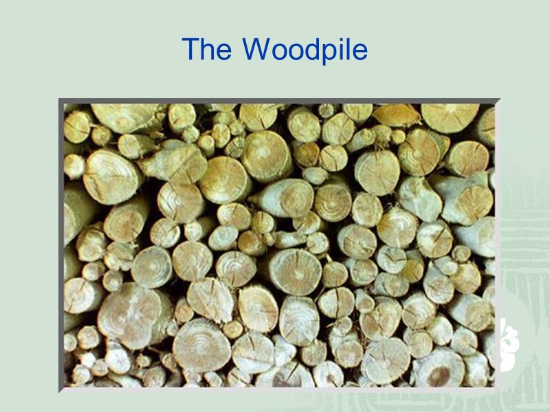 The Woodpile